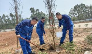 中交一航局和中交一公局哪个好